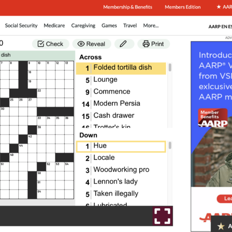 a screenshot of a crossword puzzle
